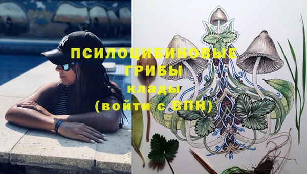 спиды Дмитровск