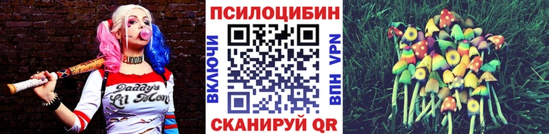 Галлюциногенные грибы Cubensis KRAKEN как войти Раменское наркошоп